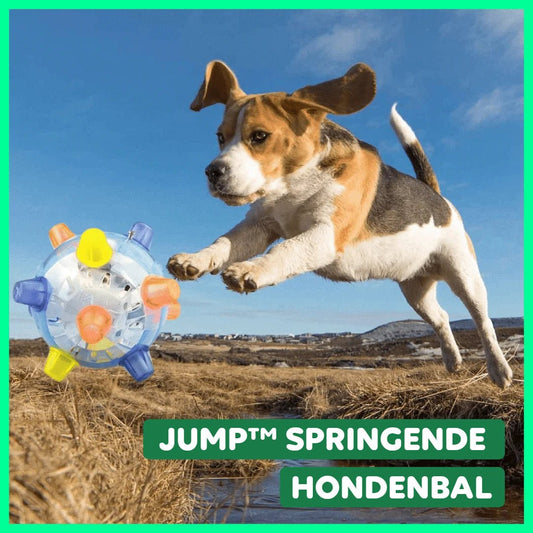 JUMP™ Springende Hondenbal