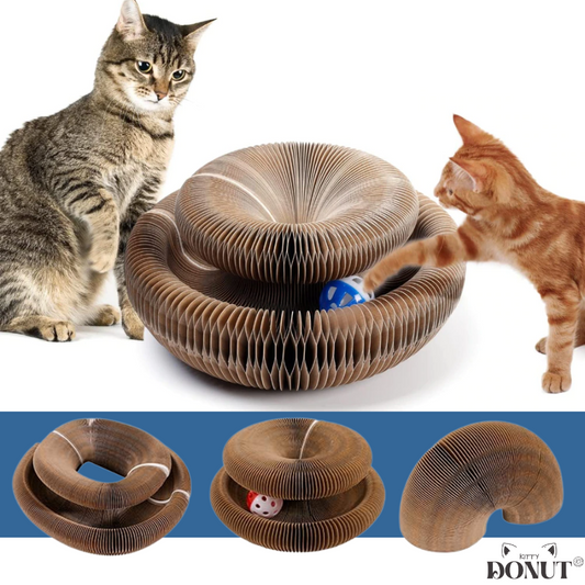 Kitty Donut™ - Interactief Kattenspeeltje