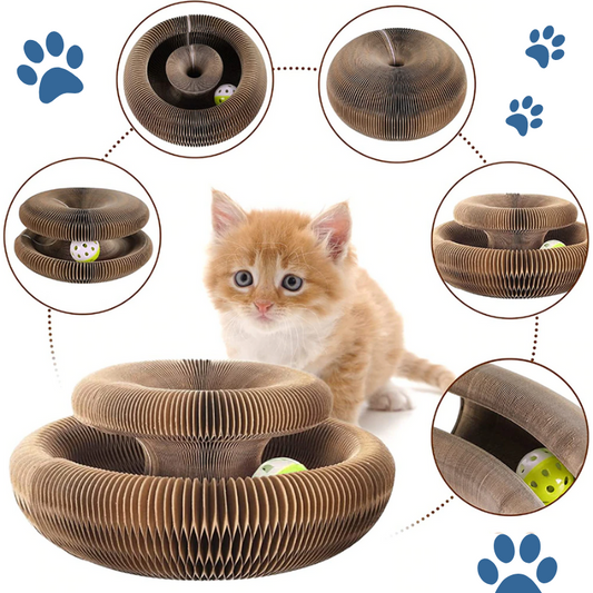 Kitty Donut™ - Interactief Kattenspeeltje